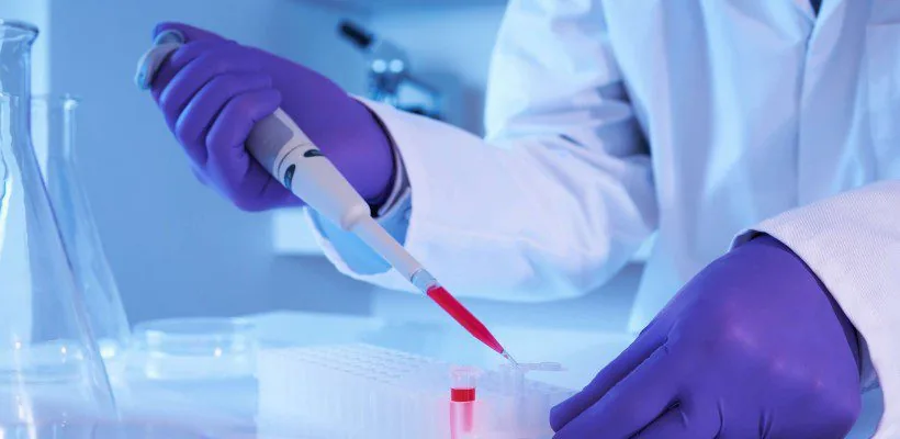 Adult tissues that serve as sources for stem cells