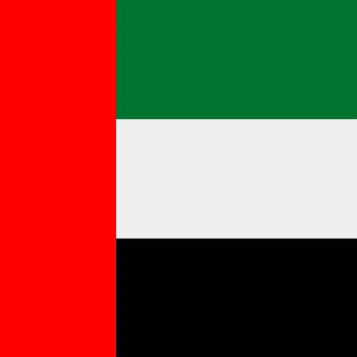 UAE Flag