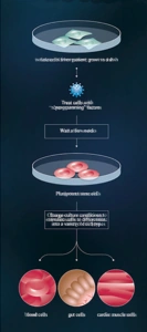 Scientists Confirm Reprogrammed Adult Stem Cells Identical to Embryonic Stem Cells