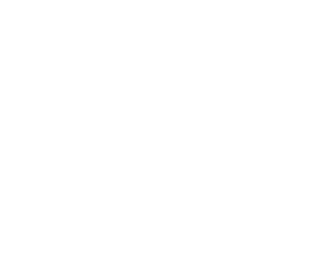 Networking opportunities