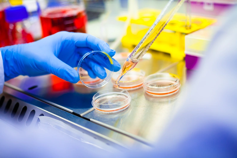Purest Liver-like Cells to Date Generated from Induced Pluripotent Stem Cells (iPSCs)